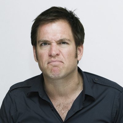 Michael Weatherly Poster 2273362