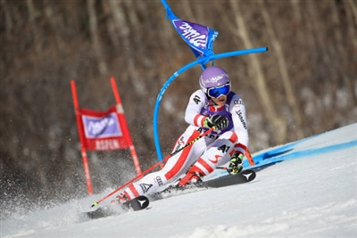 Michaela Kirchgasser posters