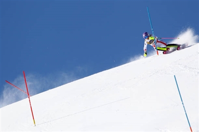 Michaela Kirchgasser posters