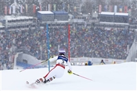 Michaela Kirchgasser tote bag #G2256200