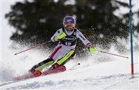 Michaela Kirchgasser longsleeve t-shirt #3644354