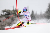 Michaela Kirchgasser tote bag #G2256228