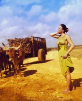 Michelle Rodriguez Sweatshirt #2032609