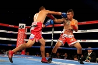 Miguel Berchelt hoodie #3582330