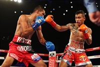 Miguel Berchelt hoodie #3582356