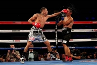 Miguel Berchelt hoodie #3582372