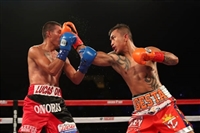 Miguel Berchelt hoodie #3582384