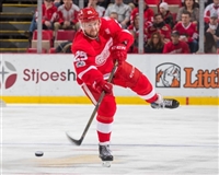 Mike Green mug #G1812929