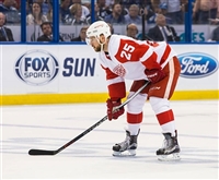 Mike Green Sweatshirt #3570706