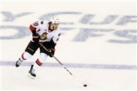 Mike Hoffman Sweatshirt #3550575