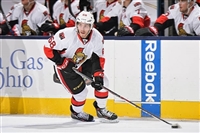 Mike Hoffman Sweatshirt #3550587
