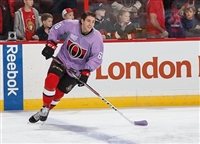 Mike Hoffman Sweatshirt #3550610