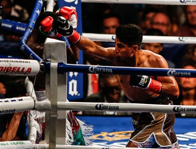 Mikey Garcia posters
