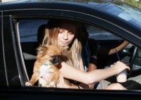 Mischa Barton mug #G216729