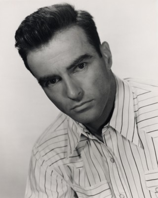 Montgomery Clift puzzle