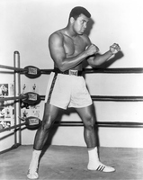 Muhammad Ali hoodie #2628473