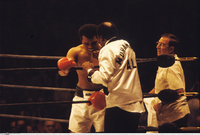 Muhammad Ali hoodie #2628498