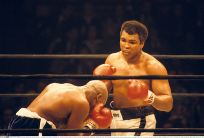 Muhammad Ali stickers 2628514