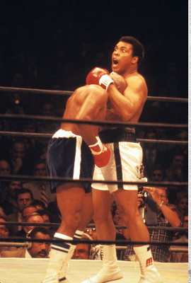 Muhammad Ali stickers 2628555