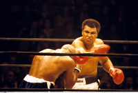 Muhammad Ali hoodie #2628780