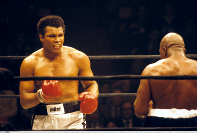 Muhammad Ali Poster