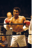 Muhammad Ali Sweatshirt #2628992
