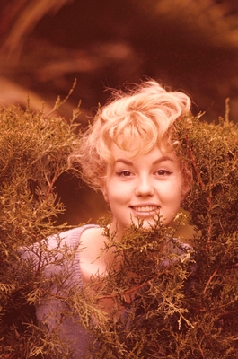 Mylene Demongeot posters