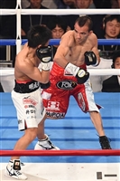 Naoya Inoue Sweatshirt #3588787