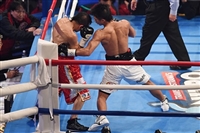 Naoya Inoue Sweatshirt #3588814