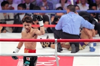 Naoya Inoue Sweatshirt #3588831