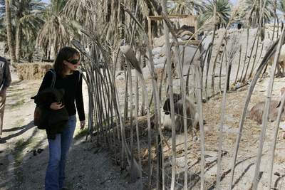 Natalie Portman posters