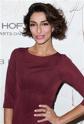 Necar Zadegan posters