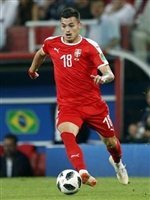Nemanja Radonjic Sweatshirt #3350517