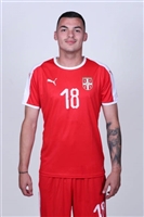 Nemanja Radonjic Sweatshirt #3350526