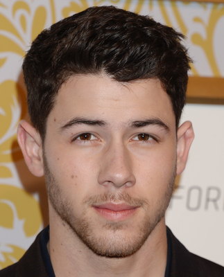 Nick Jonas stickers 3004908