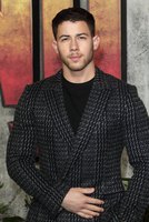 Nick Jonas Longsleeve T-shirt #3004947