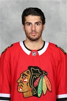 Nick Schmaltz hoodie #3571132