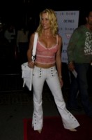 Nicolette Sheridan hoodie #1337433