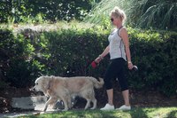 Nicollette Sheridan t-shirt #2771159