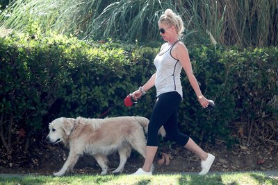 Nicollette Sheridan posters