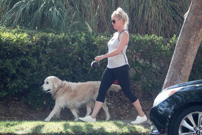 Nicollette Sheridan posters