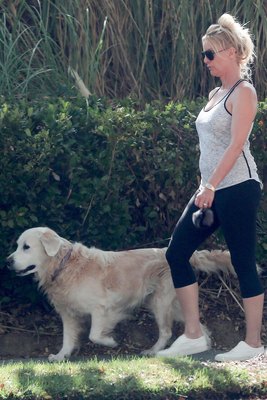 Nicollette Sheridan posters