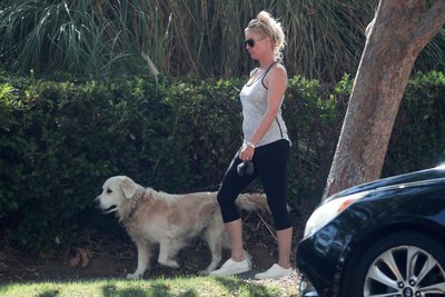Nicollette Sheridan posters