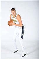 Nikola Jokic mug #G1656139