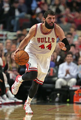 Nikola Mirotic puzzle 3426943