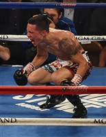 Oscar Valdez Sweatshirt #3592502