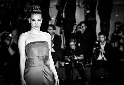 Palvin Barbara posters