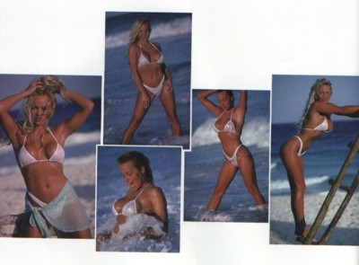 Pamela Anderson Poster 1302192