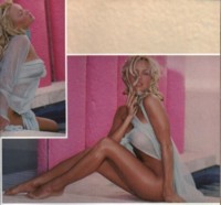 Pamela Anderson tote bag #G35552