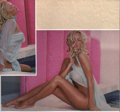 Pamela Anderson Poster 1302196
